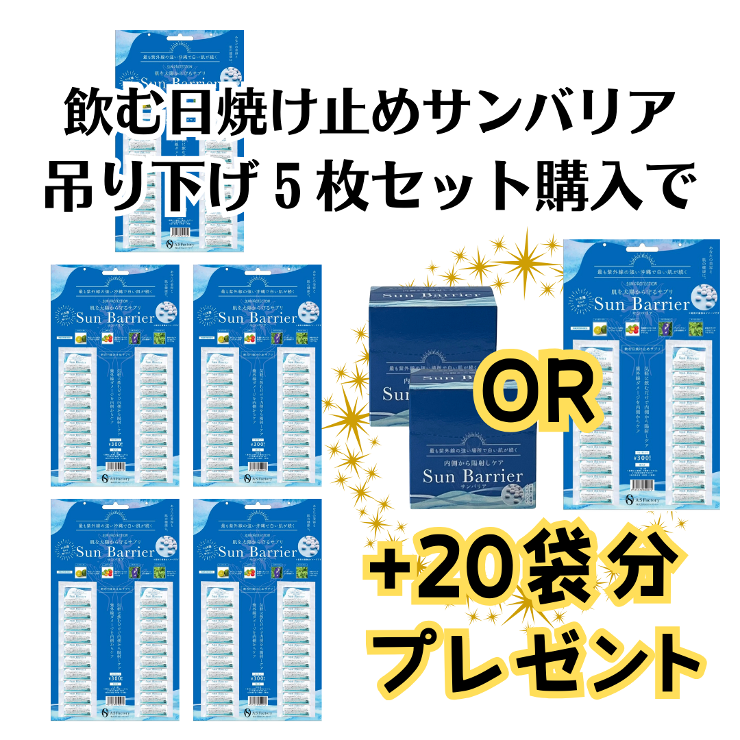 にっしー様専用 にっしー様専用 ニッシーさま専用 ニッシー
